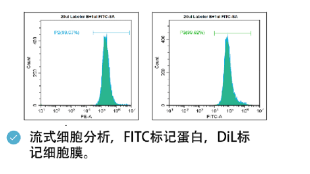 浙江组织荧光染料 来电咨询 南京星叶生物科技供应