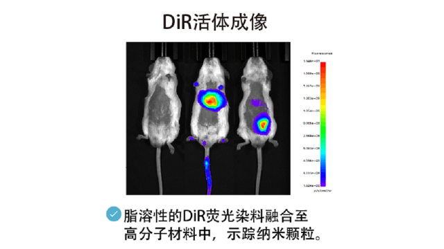 湖北荧光染料纳米 值得信赖 南京星叶生物科技供应