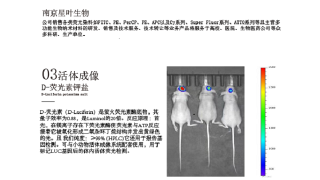 山西免疫组化荧光染料 欢迎来电 南京星叶生物科技供应
