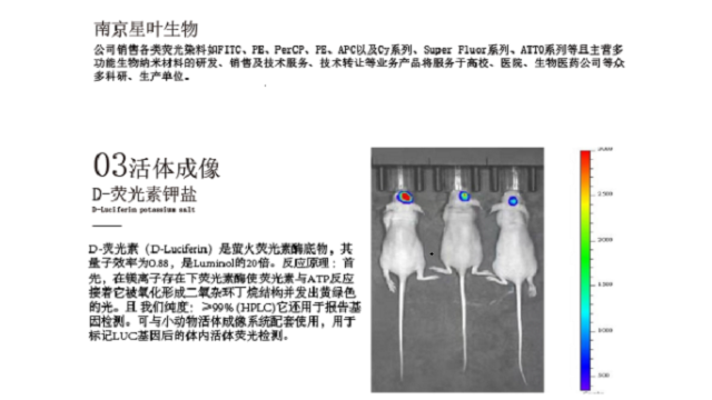 山西熒光染料標(biāo)記 值得信賴(lài) 南京星葉生物科技供應(yīng)