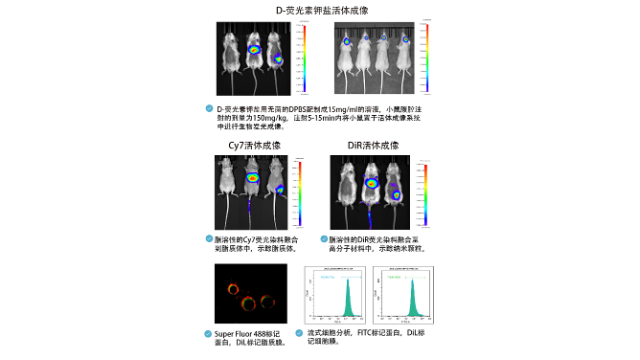 天津荧光染料纳米 创新服务 南京星叶生物科技供应