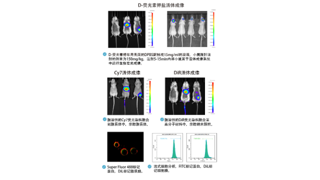 河北荧光染料APC 客户至上 南京星叶生物科技供应