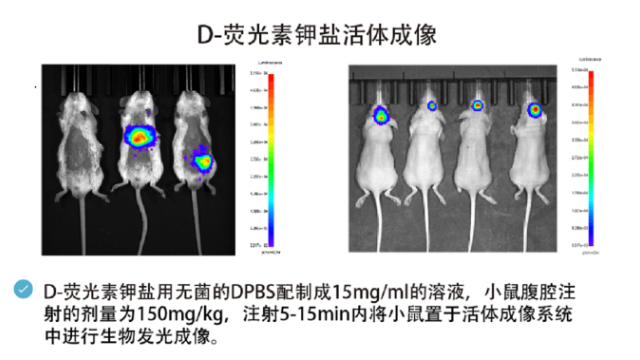 湖南荧光染料Cy7.5 欢迎咨询 南京星叶生物科技供应