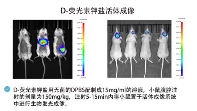 中国香港荧光染料纳米 来电咨询 南京星叶生物科技供应