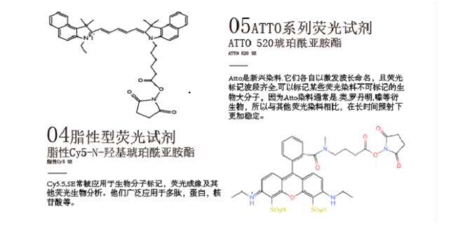 吉林合肥荧光染料 值得信赖 南京星叶生物科技供应
