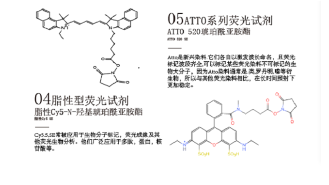 上海荧光染料发射 诚信互利 南京星叶生物科技供应