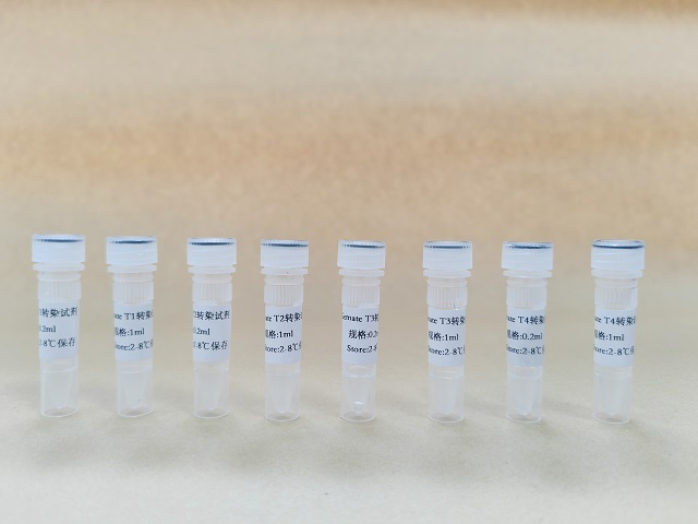 四川转染试剂现货 贴心服务 南京星叶生物科技供应