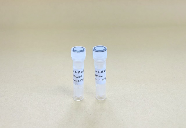 山西转染试剂疫苗 服务至上 南京星叶生物科技供应