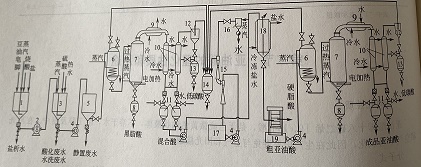 豆油皂腳生產(chǎn)亞油酸方法介紹