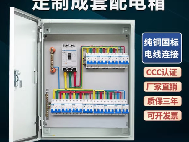 贵州小型正泰保护器 值得信赖 贵州常安金通电器供应