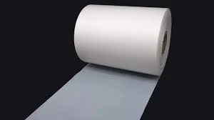 PLA Biodegradable Packaging Film