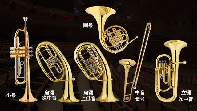 香港大提琴斯达威电话 信息推荐 义乌市海川乐器供应