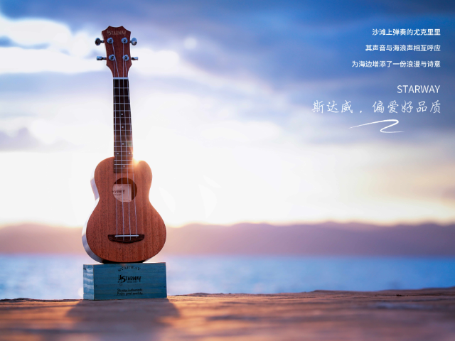 香港儿童音乐口琴斯达威定制 欢迎咨询 义乌市海川乐器供应