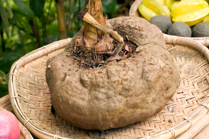 中国台湾氟橡胶氢氧化钙花香灰的优点 欢迎来电 上海乔迪化工供应