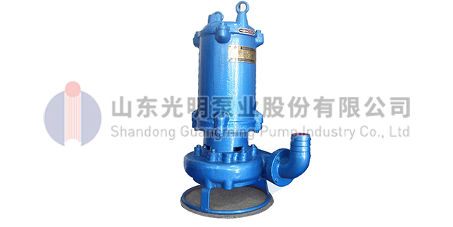 上海抗阻塞潜污泵价格,污水污物潜水电泵