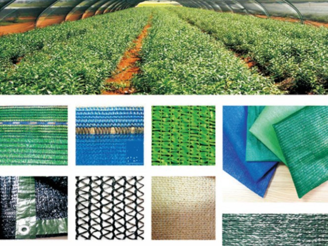 山东地毯网代加工 常州枫鸿网业供应