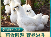 藥食同源營(yíng)養(yǎng)滋補(bǔ)