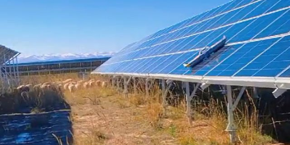宁夏太阳能光伏清洗厂家 苏州翼博特智能科技供应