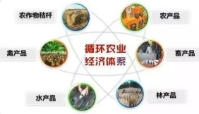 黑龙江多功能农业废弃物智能发酵控制系统,农业废弃物智能发酵控制系统