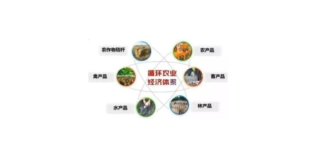 贵州国内农业废弃物智能发酵控制系统