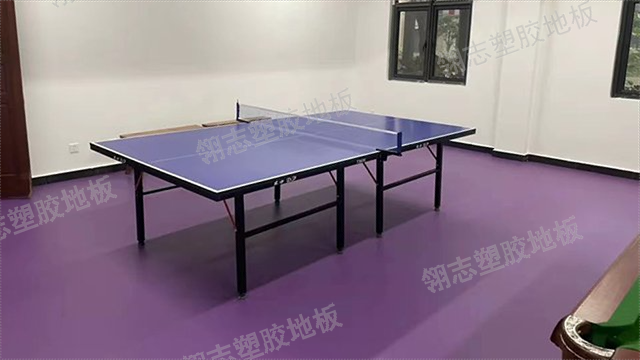 雷州市乒乓球塑胶地板对比价 深圳市翎志运动地板供应