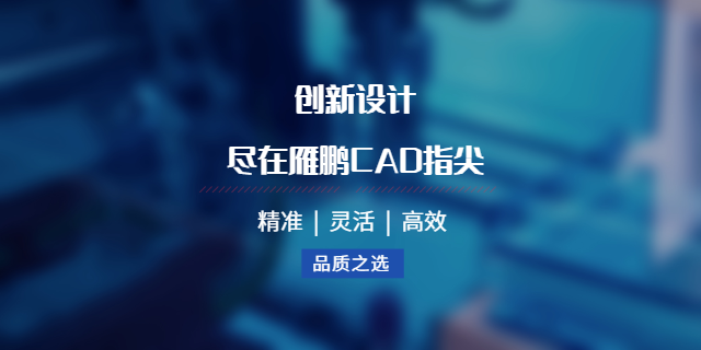 江门二维CAD二次开发 广州雁鹏信息科技供应