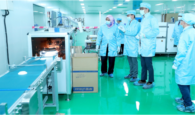 河北纸浆模塑医药包装 G-COVE 上海福鹏绿科环保科技集团供应;