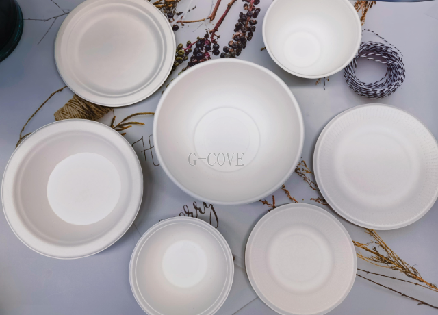 上海可降解餐具披萨盘 G-COVE 上海福鹏绿科环保科技集团供应