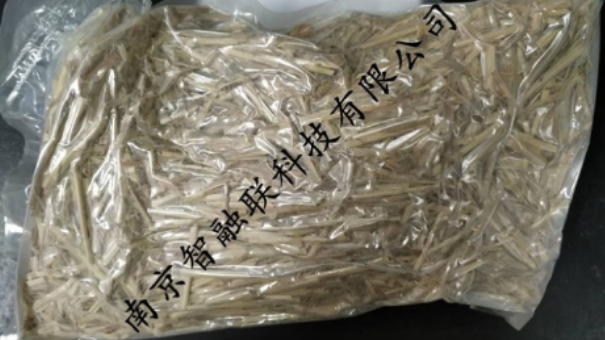 内蒙古小麦C13同位素标记秸秆怎么培养