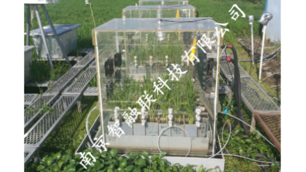 上海水稻同位素標記秸稈哪里有賣的 誠信經(jīng)營 南京市智融聯(lián)科技供應(yīng)