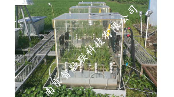 山西玉米同位素標(biāo)記秸稈豐度控制 誠信服務(wù) 南京市智融聯(lián)科技供應(yīng)