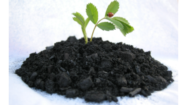 芦苇生物质炭价格是多少,生物质炭
