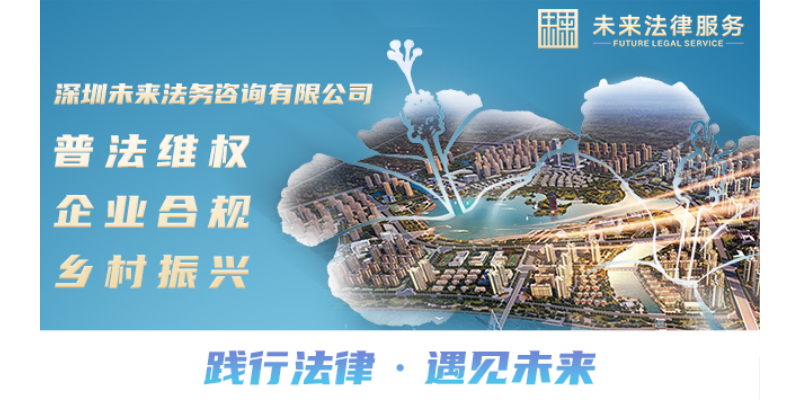 上海咨询法律服务中心 未来不烦（深圳）法务科技供应