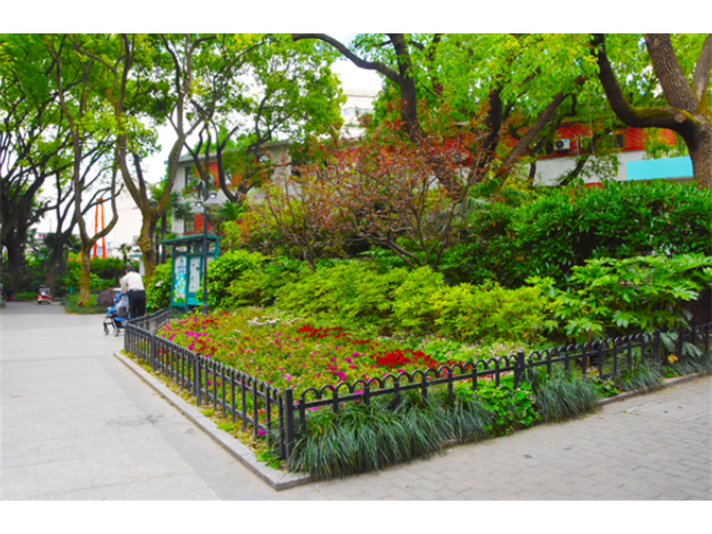 青浦区道路绿化养护电话 上海市稚春绿化养护供应;