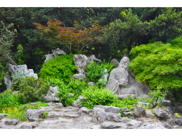 宝山区大面积绿化养护浇水 欢迎来电 上海市稚春绿化养护供应