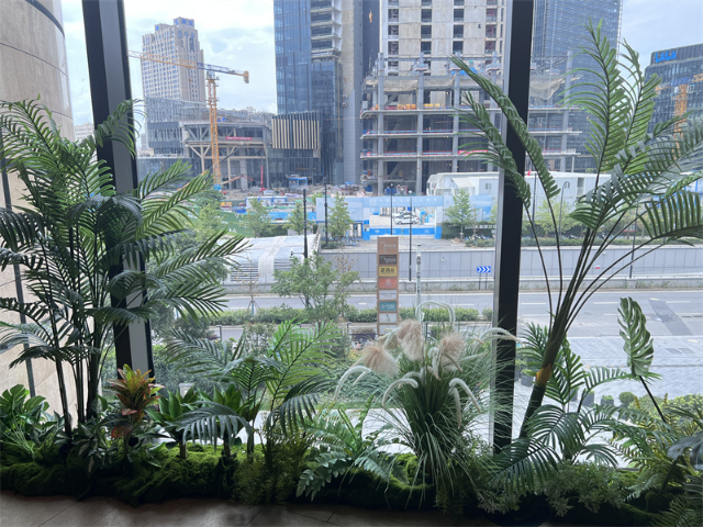 嘉定区写字楼绿化租赁设计师 欢迎来电 上海市稚春绿化养护供应