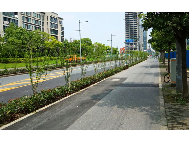 长宁区景观绿化工程方案