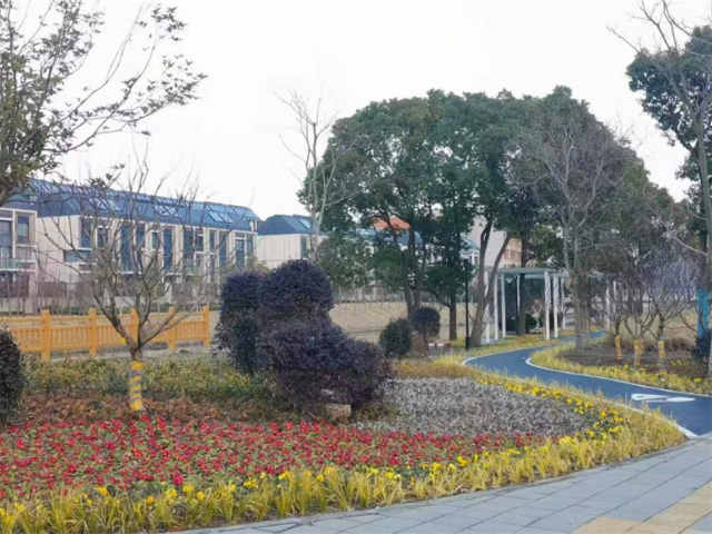 杨浦区小区绿化工程设计师 欢迎来电 上海市稚春绿化养护供应