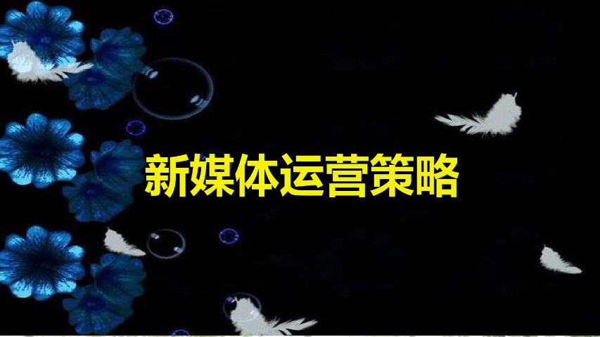 槐蔭區(qū)金融科技新媒體運營包括哪些方面