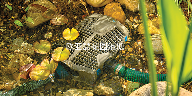 扬州水泵要多少钱 来电咨询 欧亚瑟水艺供应
