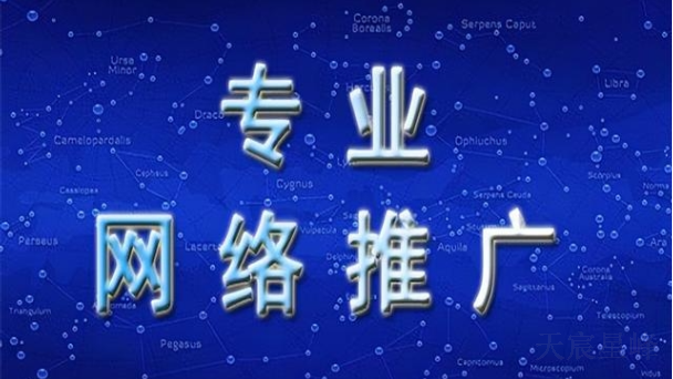 西安本地网络推广联系方式 服务至上 陕西天宸星峰信息科技供应