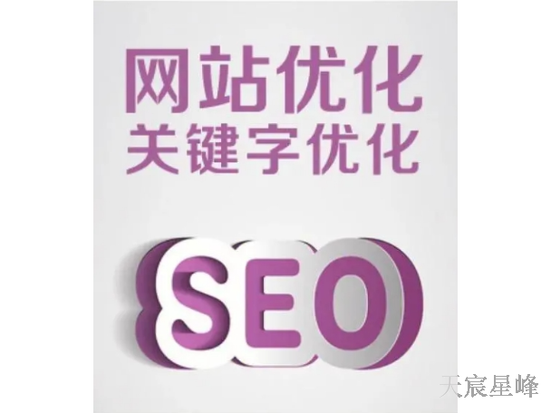 西安seo网站优化 值得信赖 陕西天宸星峰信息科技供应