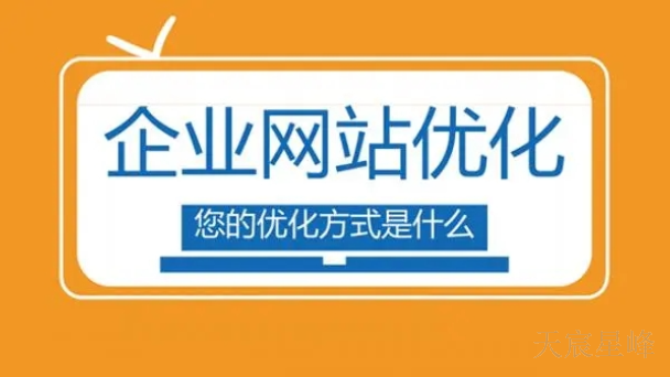 延安seo网站优化方法 服务至上 陕西天宸星峰信息科技供应