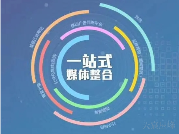 汉中新媒体运营渠道 欢迎咨询 陕西天宸星峰信息科技供应