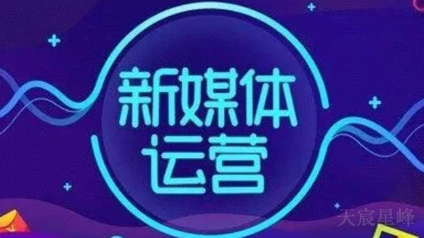 西安新媒体运营案例是什么 值得信赖 陕西天宸星峰信息科技供应