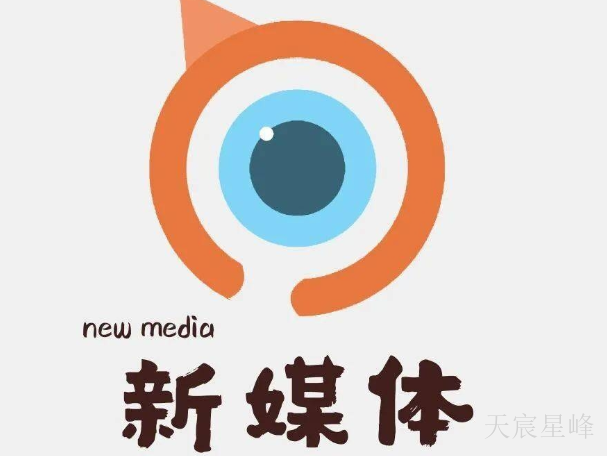陕西新媒体运营入门 服务为先 陕西天宸星峰信息科技供应
