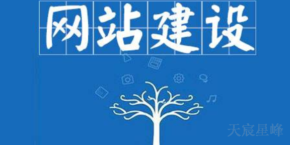 国内定制化网站建设方法 欢迎咨询 陕西天宸星峰信息科技供应