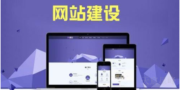 快速网站建设 欢迎咨询 陕西天宸星峰信息科技供应