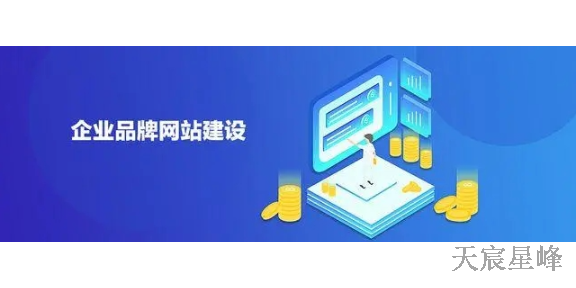 中小企业网站建设推广 值得信赖 陕西天宸星峰信息科技供应