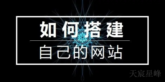 陕西专业网站建设流程 欢迎咨询 陕西天宸星峰信息科技供应